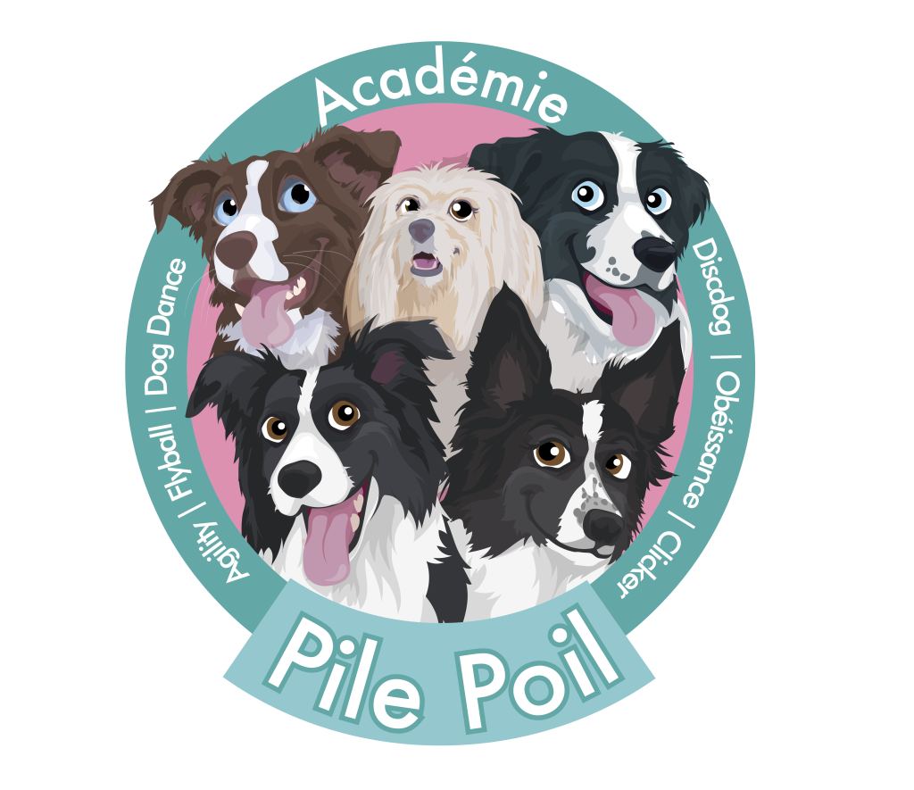 Logo Académie Pile Poil.png