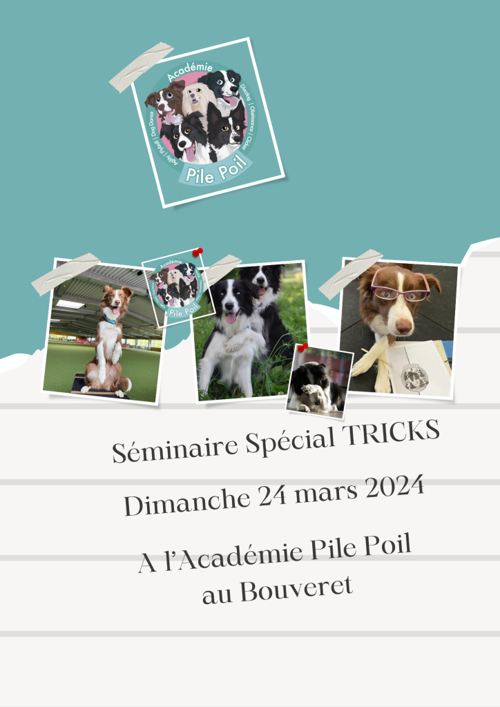 Séminaire Tricks.png