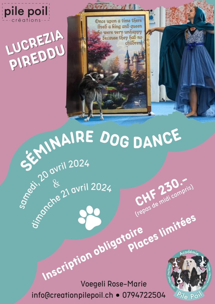 Séminaire DogDance.jpg